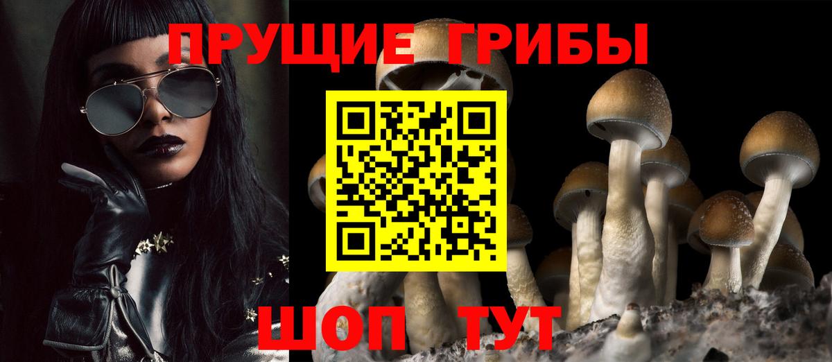 купить наркоту  Галлюциногенные грибы Magic Shrooms  Вход с VPN  Галлюциногенные грибы прущие грибы  Дербент 
