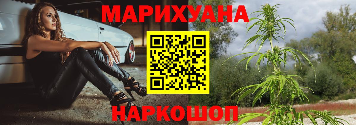 Бошки Шишки VHQ  Каннабис планчик  Дербент  Канабис план  Бошки Шишки Bruce Banner  Вход с VPN 